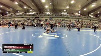 70 lbs Cons. Round 2 - Harley Geisler, Owensville Kids Wrestling Club-AAA vs Roman Lewis, Bronco Wrestling Club-AAA