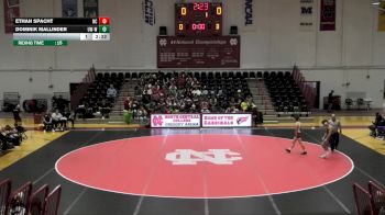 133 lbs Ethan Spacht, North Central vs Dominik Mallinder, Wisconsin-Whitewater