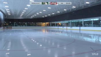 Replay: Home - 2024 RM Raiders vs Airdrie Lightning | Oct 4 @ 2 PM