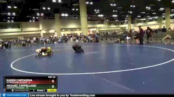 132 lbs Round 2 (10 Team) - Kaden Cartagena, D1 Wrestling Academy vs Michael Cappellano, Constant Pressure