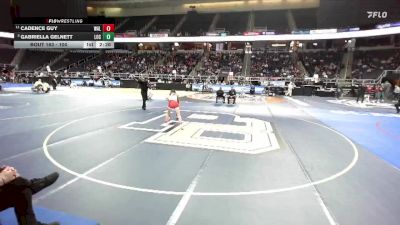 100 lbs Quarterfinal - Gabriella Gelnett, Lockport-6 vs Cadence Guy, Walton/Delhi-4