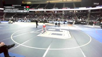 100 lbs Quarterfinal - Gabriella Gelnett, Lockport-6 vs Cadence Guy, Walton/Delhi-4