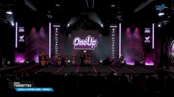 Fierce - Tigerettes [2025 L6 Limited Coed - XSmall Day 2] 2025 One Up Grand Nationals