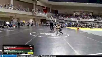 65 lbs Semis (4 Team) - Parker Zabel, PEM (Plainview/Elgin/Millville) vs Carter Probst, HLWW