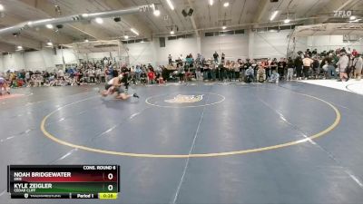 132 lbs Cons. Round 6 - Noah Bridgewater, Erie vs Kyle Zeigler, Cedar Cliff