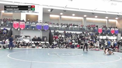 113 lbs Semifinal - Cole Desiano, Ridgefield vs George Jolley, Ledyard
