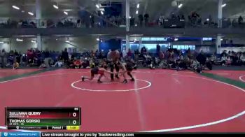 85 lbs Finals (2 Team) - Sullivan Query, Brecksville vs Thomas Gorski, St. Ed`s