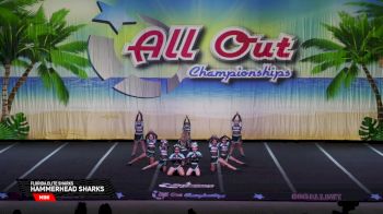 Florida Elite Sharks - HAMMERHEAD SHARKS [2025 Mini Day 1] 2025 Splash Bash