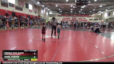 50 lbs Semifinal - Theseus Yang-Elson, Summit Wrestling Academy vs Marek Ashburn, No Nonsense Wrestling