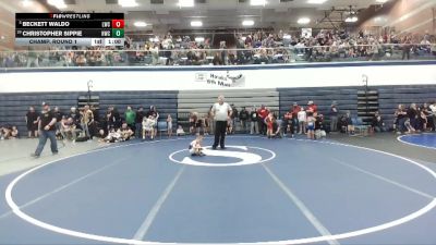 49 lbs Champ. Round 1 - Beckett Waldo, Lakeland Wrestling Club vs Christopher Sippie, Hawk Wrestling Club