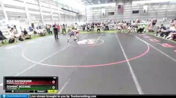 94 lbs Placement Matches (8 Team) - Kole Davidheiser, Pennsylvania Blue vs Dominic Bozanic, California