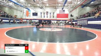 138 lbs Champ. Round 1 - Blake Adolfino, Wilmington vs Jude Pagliara, Springfield High School