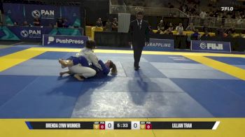 Lillian Tran vs Brenda Lynn Wunner 2025 Pan Jiu Jitsu IBJJF Championship