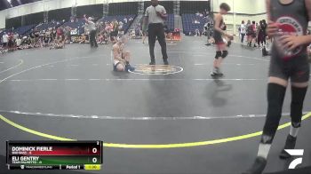 72 lbs Finals (2 Team) - Eli Gentry, Team Palmetto vs Dominick Fierle, Bad Bass