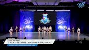 Dance Dynamics - Youth Elite Large Contemporary/Lyrical [2025 Youth - Contemporary/Lyrical - Large Day 2] 2025 NDA All-Star National Championship