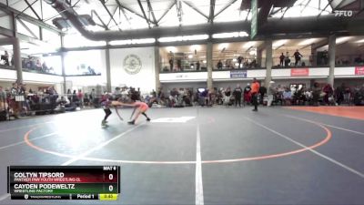 80-89 lbs Cons. Round 2 - Coltyn Tipsord, Panther Paw Youth Wrestling Cl vs Cayden Podeweltz, Wrestling Factory