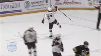 Braydon McCallum Goal (2) | 2026 Brantford Bulldogs vs Peterborough Petes | Oct 29