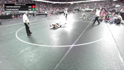 D3-157 lbs Semifinal - Caleb Mackey, Pardeeville vs Ashton Meister, Poynette