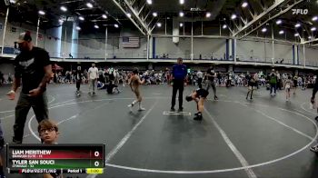 76 lbs Round 7 (10 Team) - Liam Merithew, Brawler Elite vs Tyler San Souci, CTWHALE