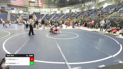 138 lbs Consi Of 16 #2 - Keagan D'Amico, Brighton WC vs Aidan Callahan, Stevens HS