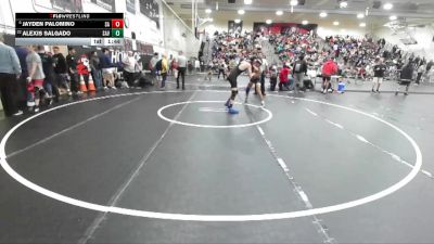 138 lbs Champ. Round 2 - Alexis Salgado, Santa Ana Valley vs Jayden Palomino, Santa Ana