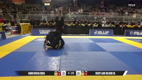Ricky Lane Nelson Jr. vs Fabio Rocha Rosa 2025 Pan Jiu Jitsu IBJJF Championship