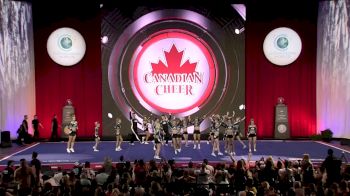 Cheer Sport Sharks - Cambridge - Star Spotted Sharks (Canada) [2019 L5 International Open Small Coed Finals] 2019 The Cheerleading Worlds