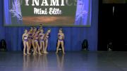 Dance Dynamics Mini Elite [2019 Mini Small Jazz Day 2] NDA All-Star National Championship