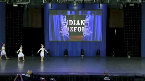 Indiana Danzforce [2019 Mini Small Contemporary/Lyrical Day 2] NDA All-Star National Championship