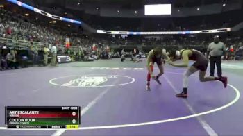 Quarterfinal - Colton Pouk, Perkins County vs Art Escalante, Winside