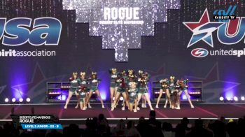 Desert Elite Mavericks - Rogue [2025 L2 Junior - D2 - B Day 2] 2025 USA All Star Cheer Super Nationals