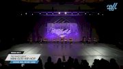 The Dance Vault - Mini Elite Hip Hop [2025 Mini - Hip Hop - Large Day 2] 2025 Power Dance Grand Nationals