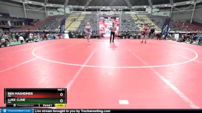 110 lbs Quarterfinal - Luke Cline, MO vs Ben Masheimer, MN