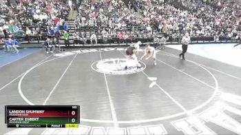 165 lbs Quarterfinal - Landon Shumway, Mountain View vs Carter Egbert, Mountain Crest