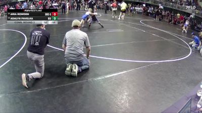 58 lbs Cons. Round 3 - Adalyn Pavelka, Niobrara/Verdigre vs Aria Rowden, Beatrice Wrestling Club - Girls