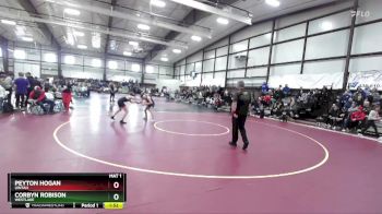 113 lbs Champ. Round 1 - Corbyn Robison, Westlake vs Peyton Hogan, Uintah