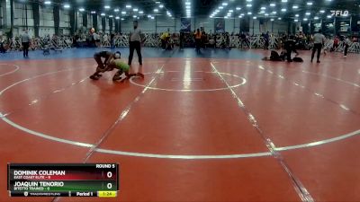 80 lbs Rd# 8- 12:30pm Saturday Final Pool - Joaquin Tenorio, Bitetto Trained vs Dominik Coleman, East Coast Elite