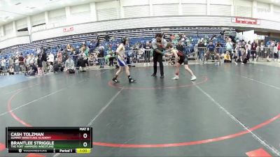 84 lbs Quarterfinal - Brantlee Striggle, The Fort Hammers Wrestling vs Cash Tolzman, Summit Wrestling Academy