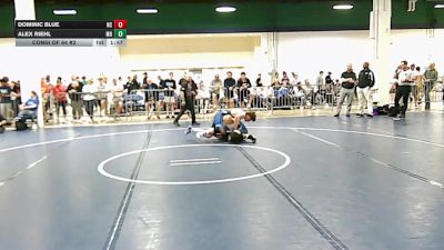 165 lbs Consi Of 64 #2 - Dominic Blue, NC vs Alex Riehl, MD