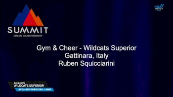 Gym & Cheer - Wildcats Superior [2025 L4 IASF Open Coed - Large Semis] 2025 The Summit