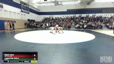 195 lbs Quarterfinal - True Cole, Medical Lake vs Christian Avila, Quincy