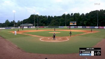 Replay: Home - 2024 Flamingos vs Blowfish | Jun 12 @ 7 PM