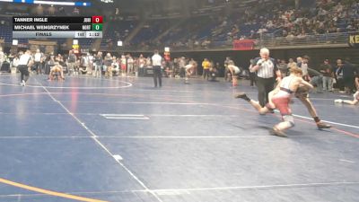 125 lbs Final - Tanner Ingle, Juniata vs Michael Wengrzynek, Northwest