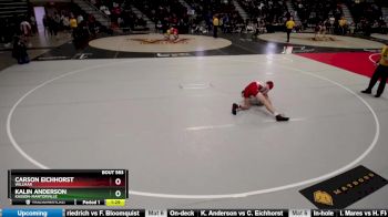 113 lbs Cons. Round 3 - Kalin Anderson, Kasson-Mantorville vs Carson Eichhorst, Willmar