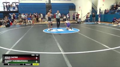 133 lbs Quarterfinal - Robert Vukobratovich, Loras vs Jesus Castro, Dubuque