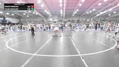 119 lbs Rr Rnd 2 - Dionte Wheeler, Grit Mat Club Blue vs Kaleb Lewallen, Team RJN