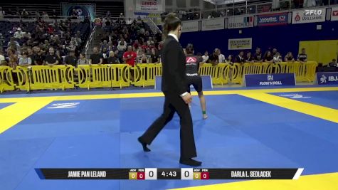 Darla L. Sedlacek vs Jamie Pan Leland 2025 Pan IBJJF Jiu-Jitsu No-Gi Championship