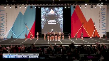 Tech Cheer - Cedar Park - Bullseye [2026 L2 Youth - Flex - Small Day 2] 2026 The Youth Summit