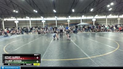 49 lbs Round 1 (4 Team) - Attley Aldrich, Middleton Wrestling Club vs Caliber Jackson, Grangeville Youth Wrestling