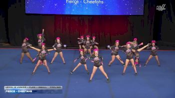 Fierce - Cheetahs [2026 L2 Junior - Flex - Small Prelims] 2026 The Summit